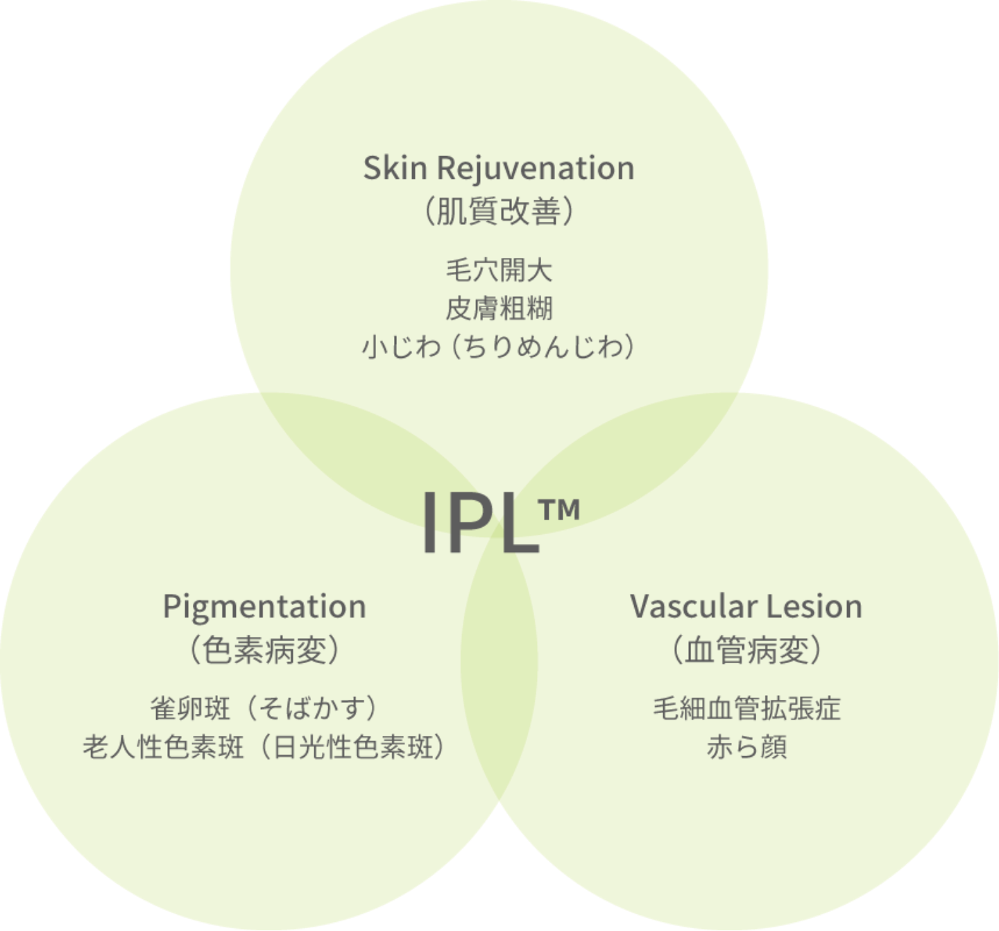 IPL